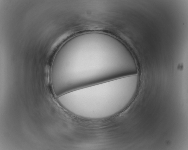 X0000113911171200909241258