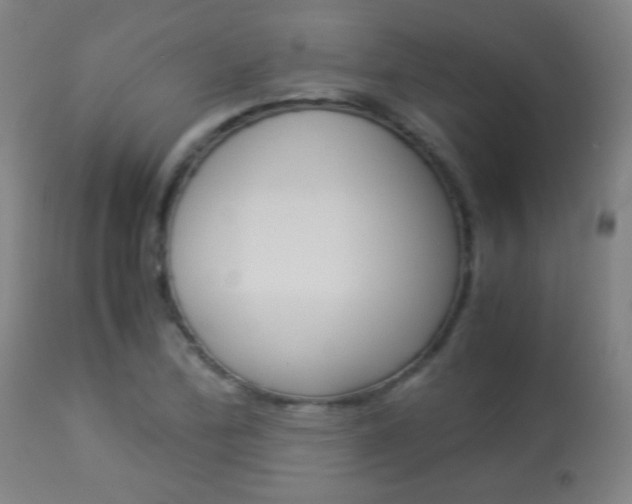X0000113911172200909241258