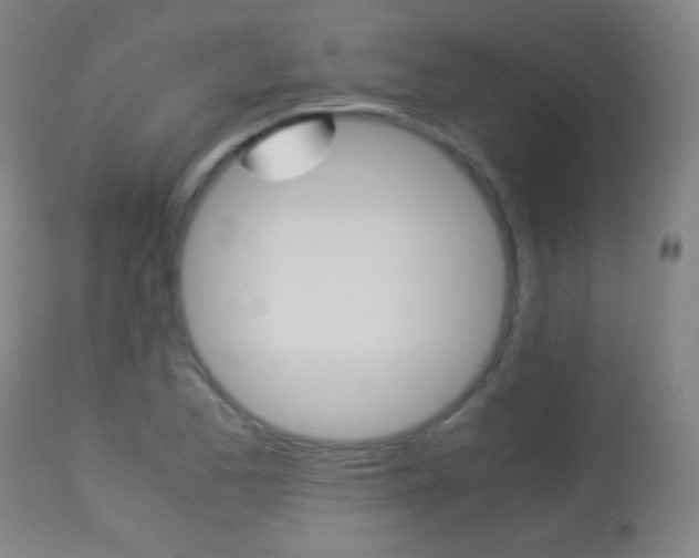 X0000113911173200909241258