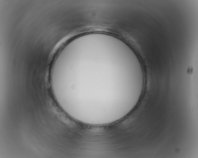 X0000113911174200909241258