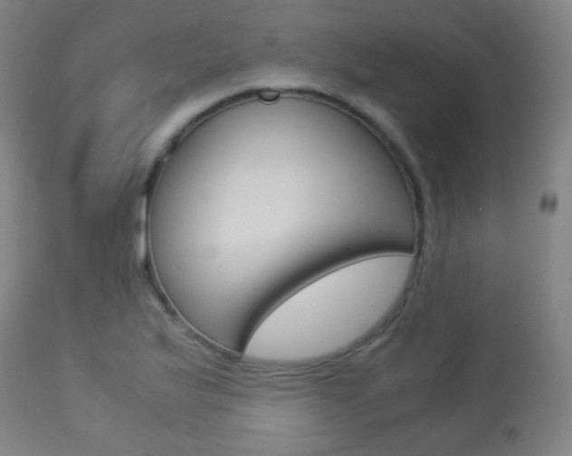 X0000113911175200909241258