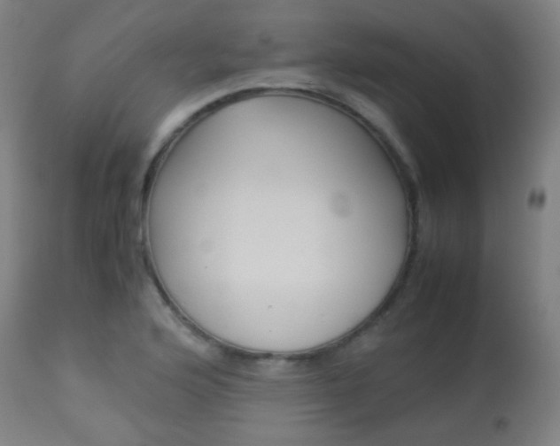 X0000113911176200909241258