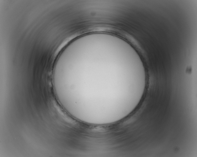 X0000113911178200909241258