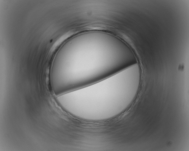 X0000113911179200909241258