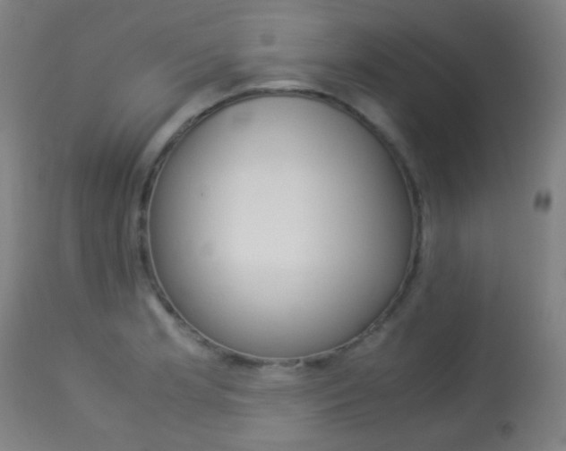 X0000113911181200909241258