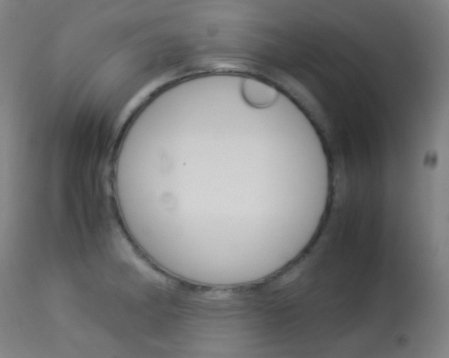 X0000113911182200909241258