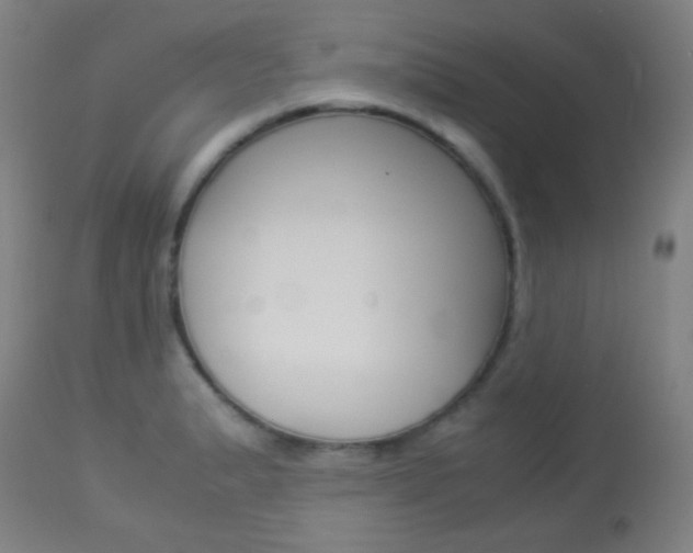 X0000113911183200909241258