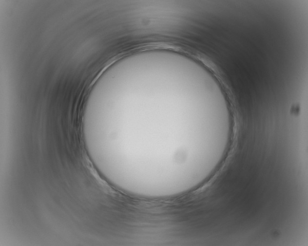 X0000113911185200909241258
