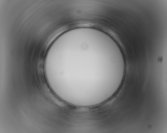 X0000113911186200909241258