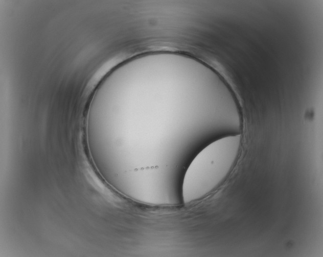 X0000113911187200909241258