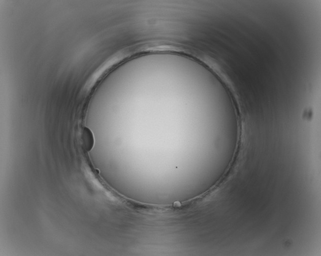 X0000113911189200909241258