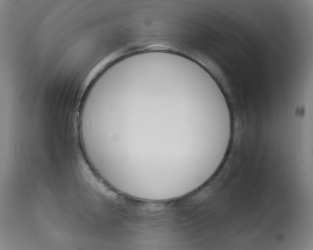 X0000113911190200909241258