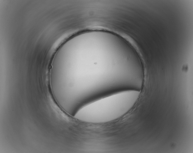 X0000113911191200909241258