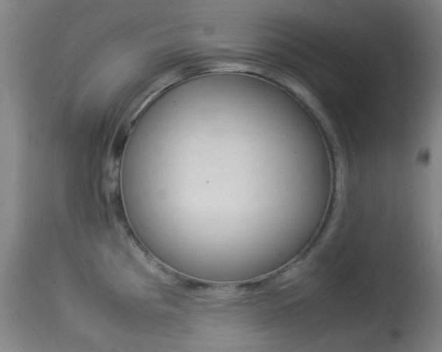 X0000113911193200909241258