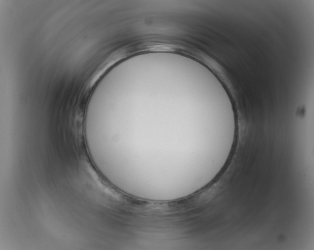 X0000113911194200909241258