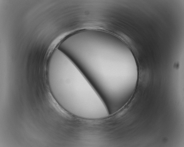 X0000113911196200909241258