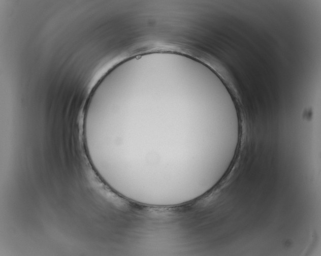 X0000113911198200909241258