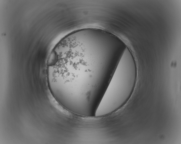 X0000113911200200909241258