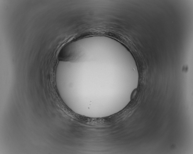 X0000113911201200909241257