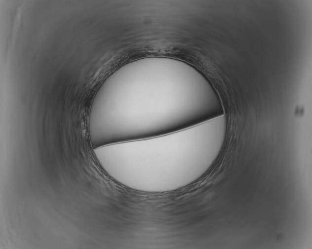 X0000113911202200909241257