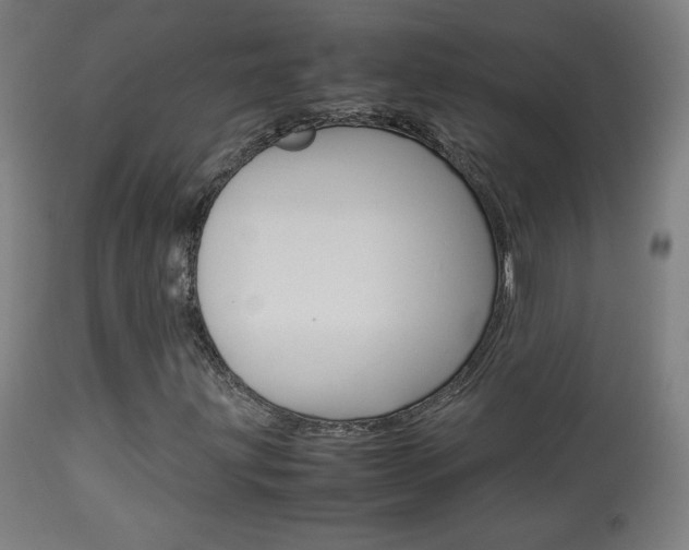 X0000113911203200909241257