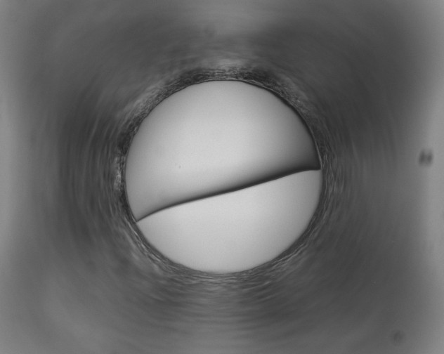 X0000113911204200909241257