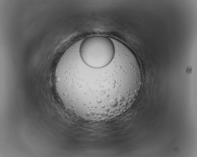 X0000113911205200909241257