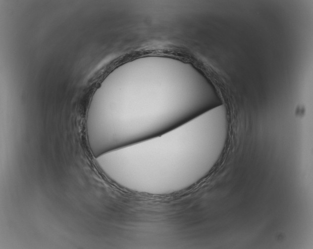 X0000113911206200909241257