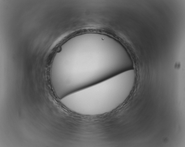 X0000113911208200909241257