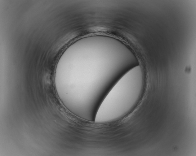 X0000113911209200909241257