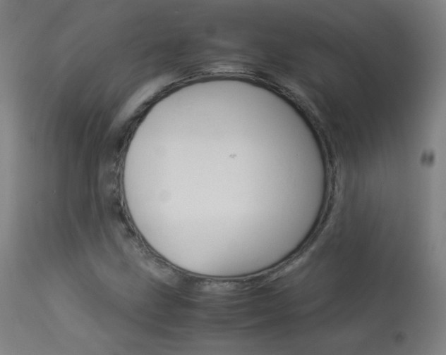 X0000113911211200909241257