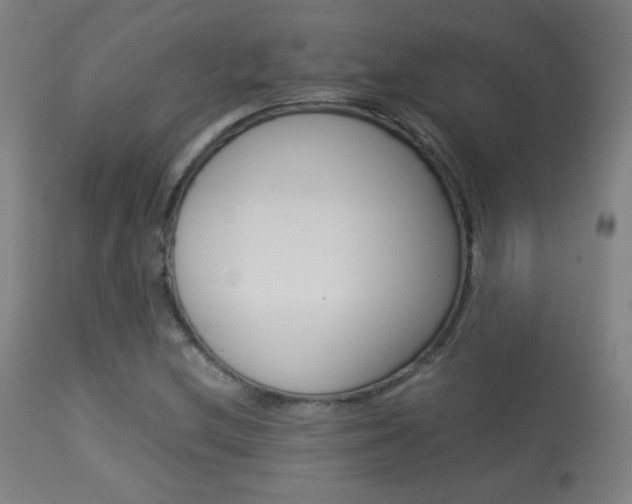 X0000113911212200909241257