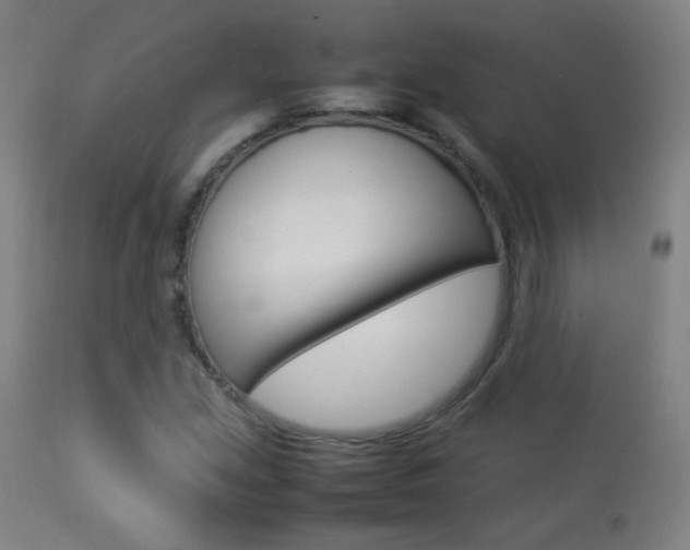 X0000113911213200909241257