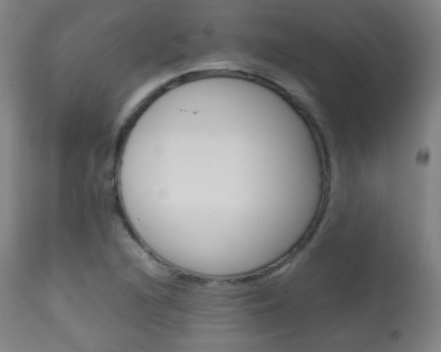 X0000113911216200909241257
