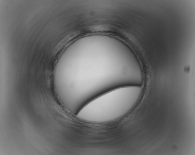X0000113911217200909241257