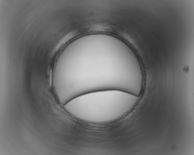 X0000113911219200909241257