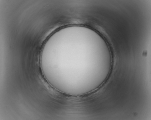 X0000113911220200909241257