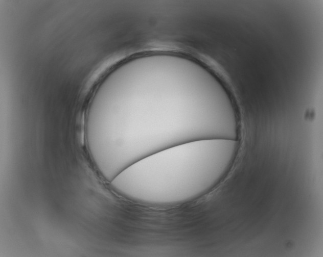 X0000113911223200909241257
