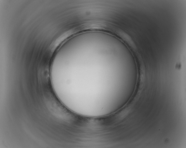 X0000113911226200909241257