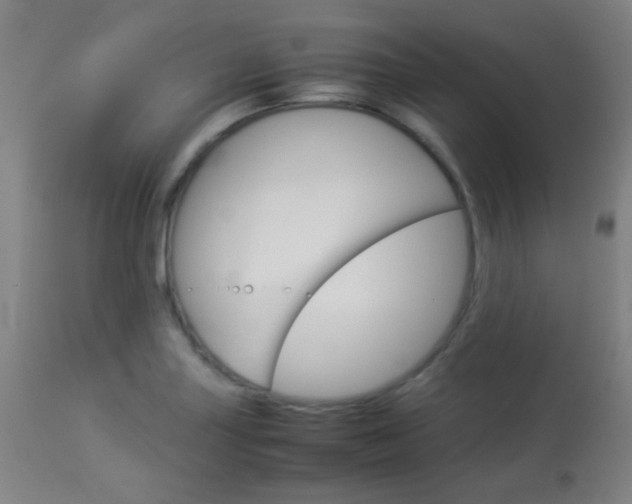 X0000113911227200909241257
