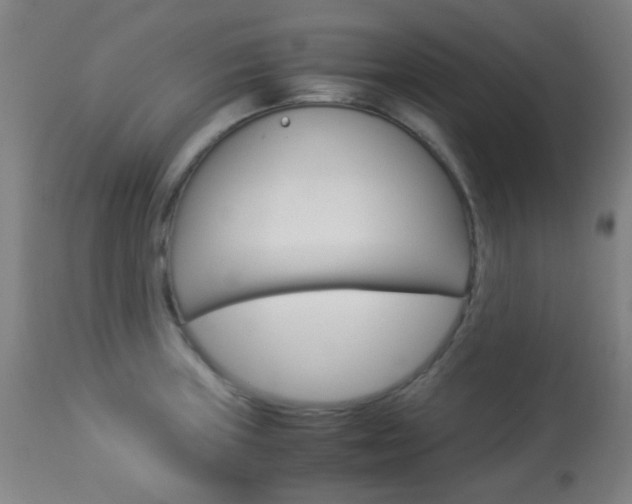 X0000113911235200909241257