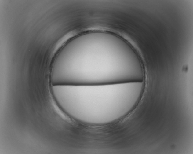 X0000113911237200909241257