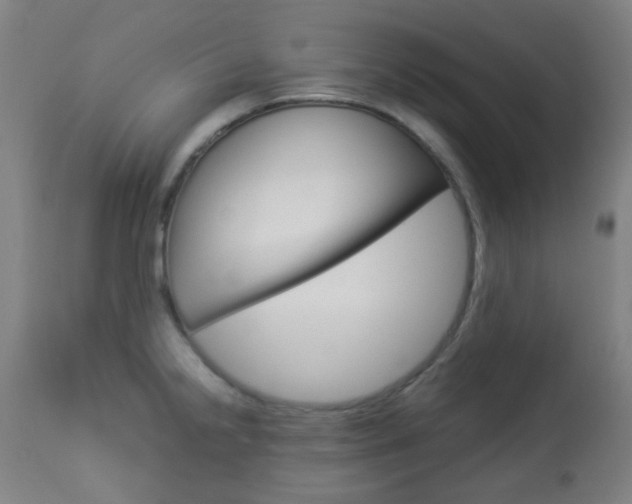 X0000113911238200909241257