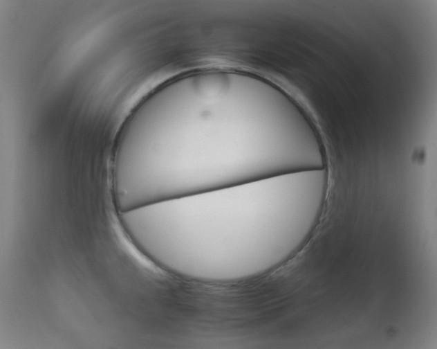 X0000113911239200909241257