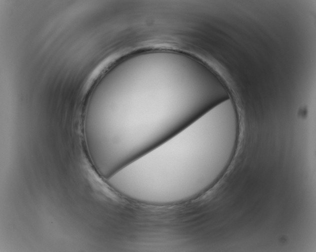 X0000113911240200909241257