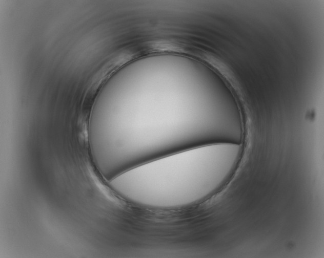 X0000113911241200909241257