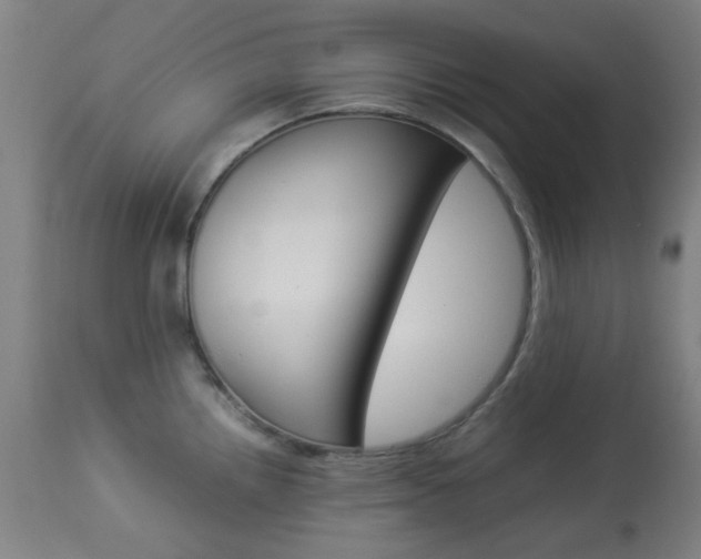 X0000113911242200909241257