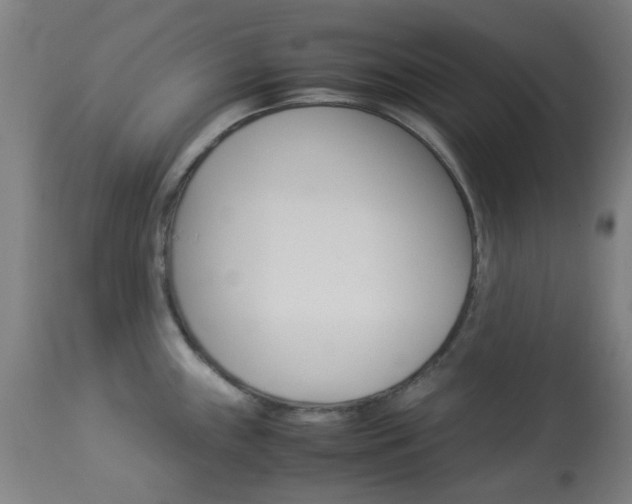 X0000113911243200909241257
