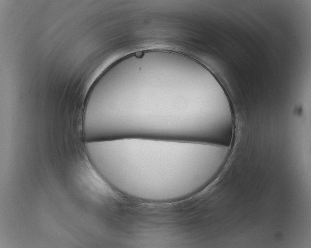 X0000113911244200909241257