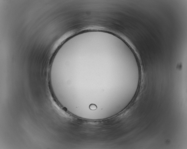 X0000113911245200909241257